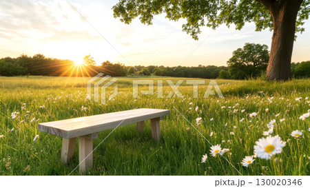 Serene sunset over tranquil meadow with blossoming daisies and wooden bench 130020346