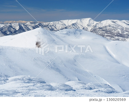 谷川連峰・仙ノ倉山方面から望む冬の平標山と苗場山 谷川連峰・仙ノ倉山方面から望む冬の平標山と苗場山 130020569