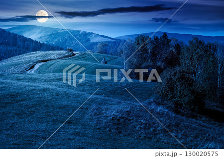 countryside mountain landscape in autumn at night. trees in colorful foliage on the hill. rustic scenery under cloudless blue sky in full moon light. mysterious travel in fall season 130020575