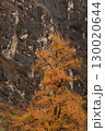 Autumn in the mountains. Altai Mountains 130020644