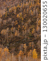Autumn in the mountains. Altai Mountains 130020655