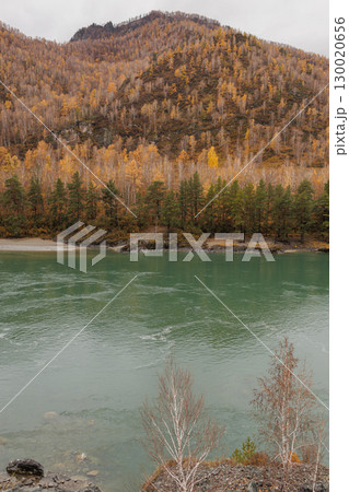 Autumn in the mountains. Altai Mountains Autumn in the mountains. Altai Mountains 130020656