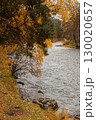 Autumn in the mountains. Altai Mountains 130020657