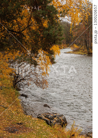 Autumn in the mountains. Altai Mountains 130020657