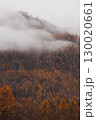 Autumn in the mountains. Altai Mountains 130020661