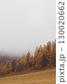 Autumn in the mountains. Altai Mountains 130020662