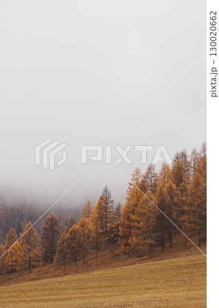 Autumn in the mountains. Altai Mountains 130020662