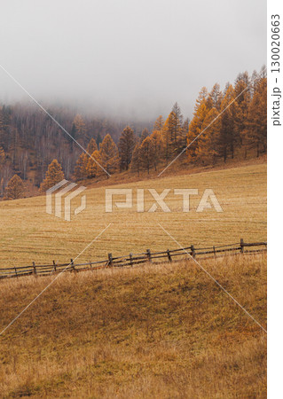 Autumn in the mountains. Altai Mountains 130020663