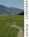 Altai Mountains covered with green grass. Nature photo 130020668