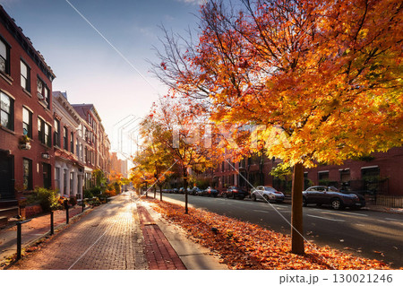 Colorful Fall Leaves Line the Streets in a Vibrant City During Autumn Sunset 130021246