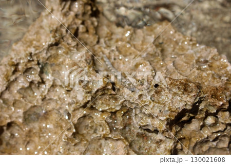 Close Up of Submerged Rock with a Water Sheen Highlighting Porous Texture Close Up of Submerged Rock with a Water Sheen Highlighting Porous Texture 130021608
