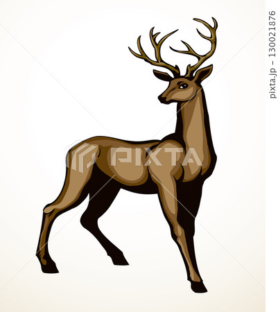 Beautiful noble deer. Vector drawing Beautiful noble deer. Vector drawing 130021876