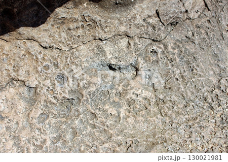 Weathered and Eroded Rock Surface with Intricate Textures and Shadows 130021981