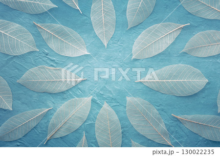 Autumn leaves frame on a teal blue background. Skeleton leaves with copy space 130022235