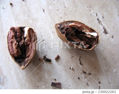 Close Up of a Cracked Pecan Showing Inner Nut on a Speckled Surface 130022261