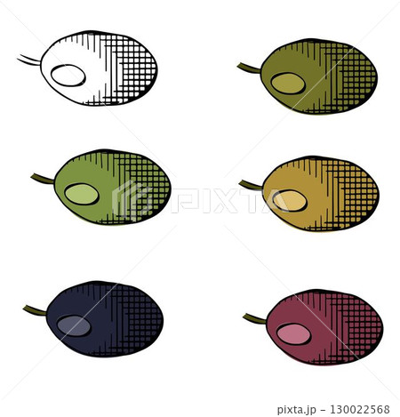 Olive berry single isolated colored. Vector graphic line ink illustration. Botanical natural elements for decoration, labels, design. Olives, leaves sketch set Greek art botanical sign. 130022568