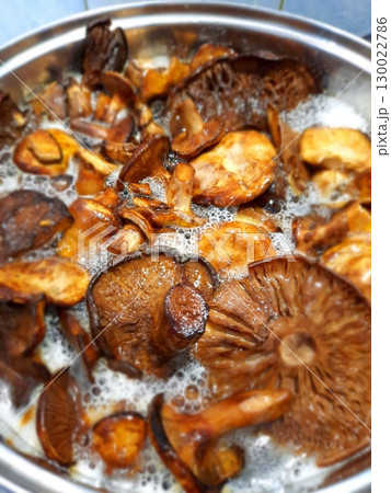 Boiling Mushrooms in a Metal Pot with Bubbles and Steam for a Savory Dish Boiling Mushrooms in a Metal Pot with Bubbles and Steam for a Savory Dish 130022786