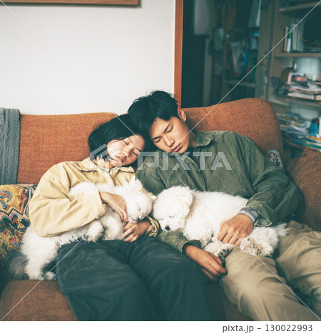 犬とお昼寝 130022993