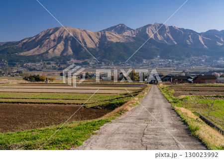 《熊本県》阿蘇を一望する平原 130023992