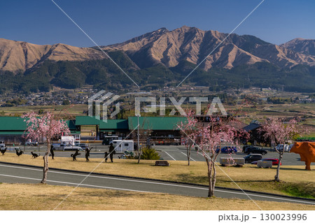 《熊本県》阿蘇を一望・あそ望の郷くぎのの眺望 130023996