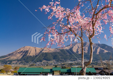 《熊本県》阿蘇を一望・あそ望の郷くぎのの眺望 130024005