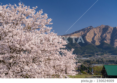 《熊本県》阿蘇を一望・あそ望の郷くぎのの眺望 130024009