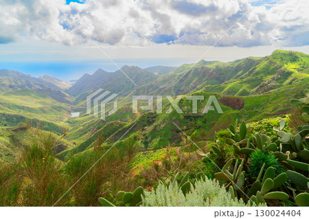 Wild nature of Anaga Wild nature of Anaga 130024404