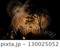夜空に打ちあがる花火 130025052
