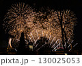 夜空に上がる花火 130025053