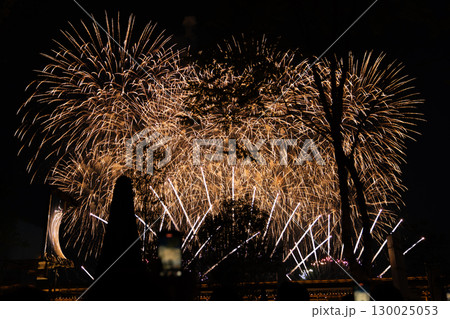 夜空に上がる花火 130025053