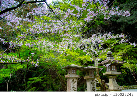 香川県仲多度郡琴平町 金毘羅さん パワースポット 香川県仲多度郡琴平町 金毘羅さん パワースポット 130025245