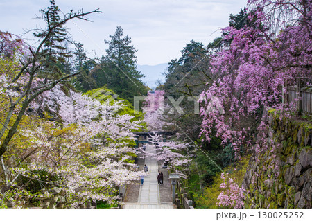香川県仲多度郡琴平町 金毘羅さん パワースポット 香川県仲多度郡琴平町 金毘羅さん パワースポット 130025252