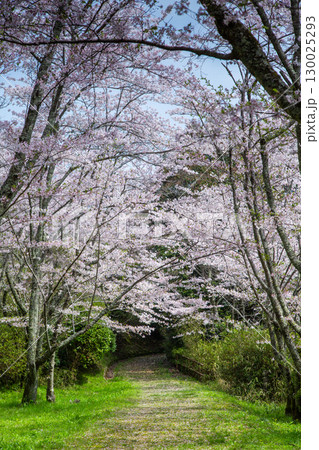 香川県仲多度郡琴平町　金毘羅さん　パワースポット 130025293
