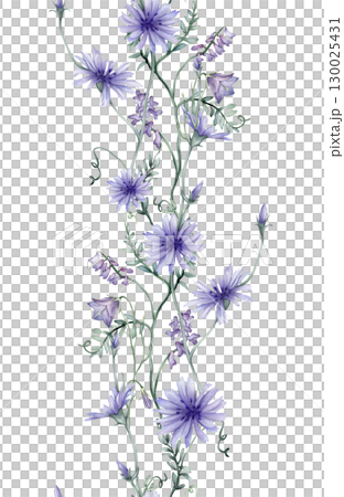 Seamless vertical border or banner with purple and blue wildflowers. Hand drawn watercolor illustration on isolated background. Summer floral pattern for frame or banner with blue bluebells, chicory 130025431