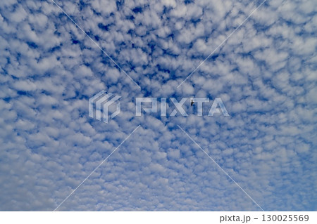 空一面のいわし雲 空一面のいわし雲 130025569