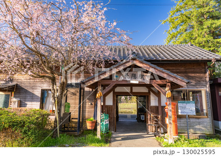 《熊本県》桜の咲くノスタルジックな駅 130025595