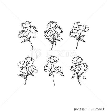 Hand-drawn floral designs featuring peony blossoms in various arrangements for artistic inspiration and creative projects 130025611