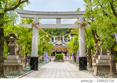 大楠公を祀る湊川神社(楠公さん)楠社 鳥居と拝殿 神戸市中央区多聞通 大楠公を祀る湊川神社(楠公さん)楠社 鳥居と拝殿 神戸市中央区多聞通 130025716