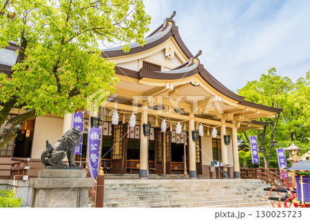 大楠公を祀る湊川神社(楠公さん)楠社 拝殿 神戸市中央区多聞通 大楠公を祀る湊川神社(楠公さん)楠社 拝殿 神戸市中央区多聞通 130025723