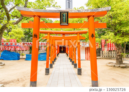 大楠公を祀る湊川神社（楠公さん）楠社　末社　楠本稲荷神社　鳥居　神戸市中央区多聞通 130025726