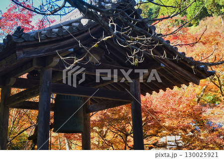 京都 三尾 槙尾山 西明寺 鐘楼と紅葉 (京都府京都市右京区) 京都 三尾 槙尾山 西明寺 鐘楼と紅葉 (京都府京都市右京区) 130025921