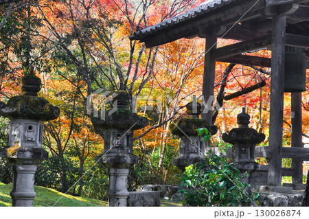 京都　三尾　槙尾山　西明寺　秋の美しい境内　(京都府京都市右京区） 130026874