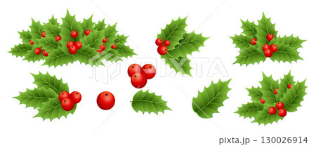 Holly berry colorful vector border Holly berry colorful vector border 130026914