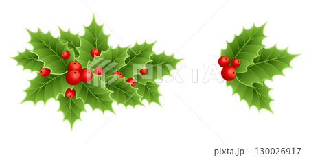 Holly berry colorful vector border Holly berry colorful vector border 130026917
