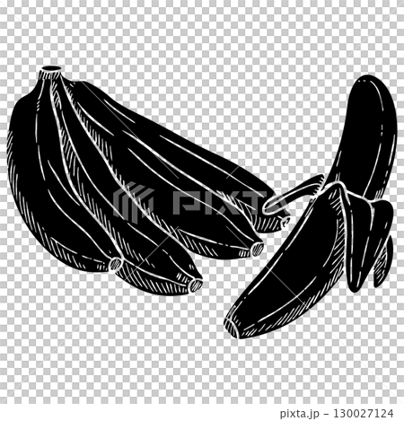 Black Line Banana Bunch Vector Illustration on White Background 130027124