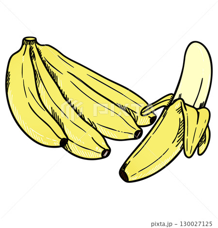 Realistic Colorful Banana Bunch Vector Illustration on White Background Realistic Colorful Banana Bunch Vector Illustration on White Background 130027125