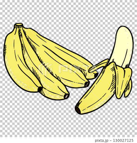 Realistic Colorful Banana Bunch Vector Illustration on White Background 130027125