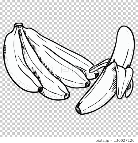 Educational Banana Bunch Vector Illustration Coloring Page 130027126