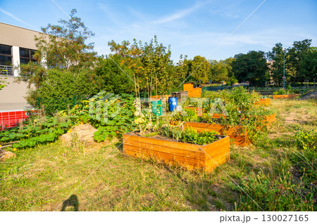 Urban community garden in Zizkov, Prague, Czech Republic. Sustainable green space with planting beds surrounded by modern apartment buildings in the heart of the city Urban community garden in Zizkov, Prague, Czech Republic. Sustainable green space with planting beds surrounded by modern apartment buildings in the heart of the city 130027165