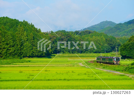 新緑の土讃線を走る特急あしずり(2700系) 新緑の土讃線を走る特急あしずり(2700系) 130027263